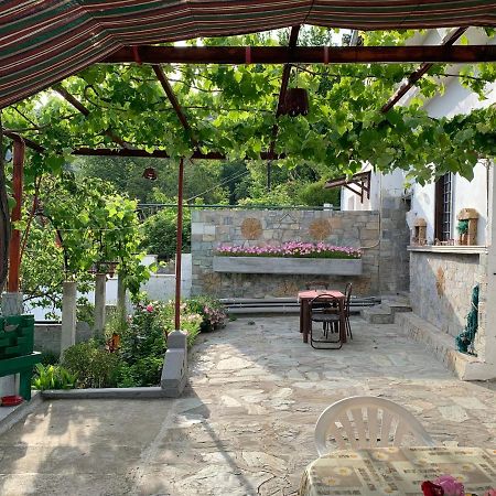 Η Θεα Traditional House Makrinitsa Exterior photo