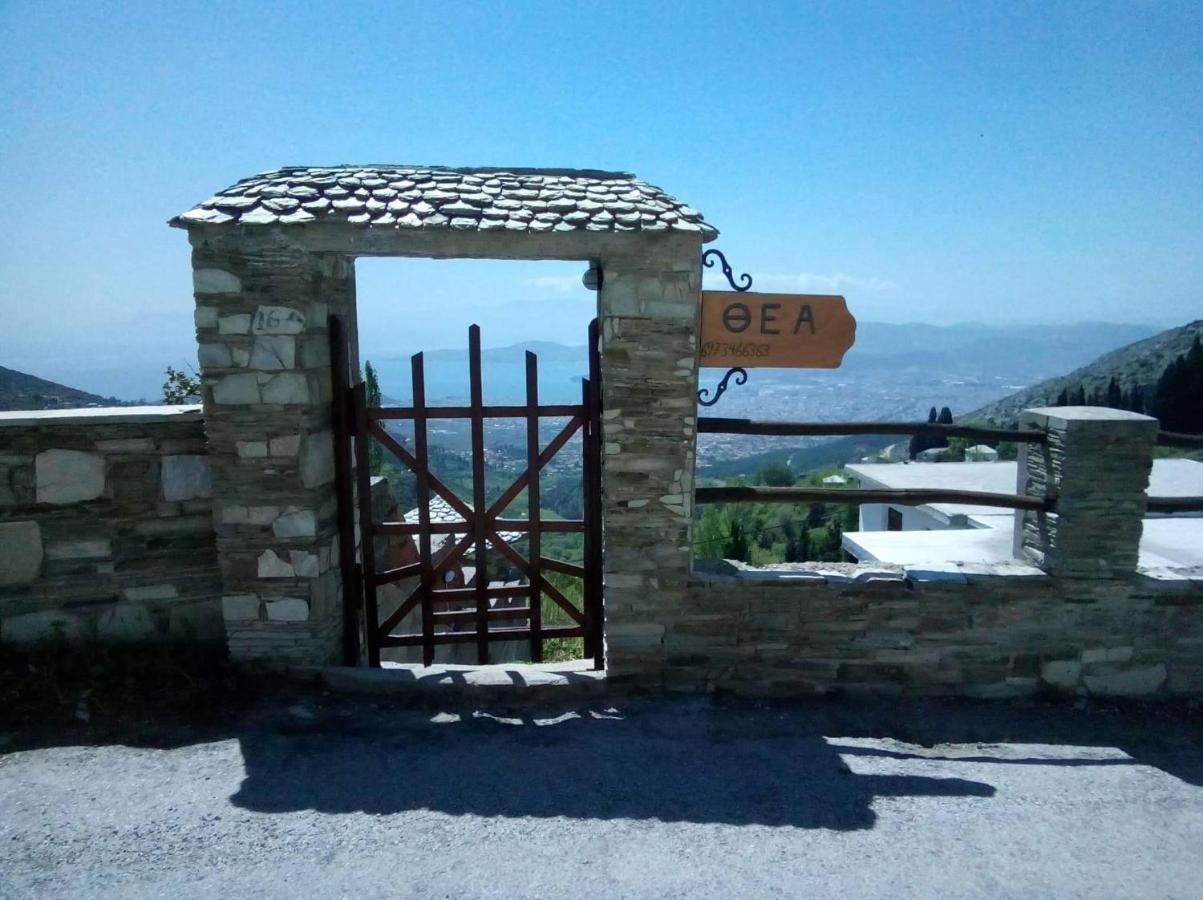 Η Θεα Traditional House Makrinitsa Exterior photo